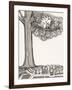 Black and White Drawing of Bird Looking at Clock on Tree Branch-Marie Bertrand-Framed Giclee Print