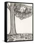 Black and White Drawing of Bird Looking at Clock on Tree Branch-Marie Bertrand-Framed Stretched Canvas