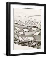 Black and White Drawing of Fish Swimming in River-Marie Bertrand-Framed Giclee Print