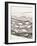 Black and White Drawing of Fish Swimming in River-Marie Bertrand-Framed Giclee Print