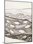 Black and White Drawing of Fish Swimming in River-Marie Bertrand-Mounted Giclee Print