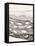 Black and White Drawing of Fish Swimming in River-Marie Bertrand-Framed Stretched Canvas