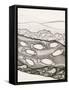 Black and White Drawing of Fish Swimming in River-Marie Bertrand-Framed Stretched Canvas