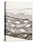Black and White Drawing of Fish Swimming in River-Marie Bertrand-Stretched Canvas