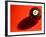 Black and White Eight Ball on with Shadow on Red Background-null-Framed Photographic Print