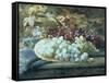 Black and White Grapes-William Jabez Muckley-Framed Stretched Canvas