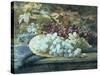 Black and White Grapes-William Jabez Muckley-Stretched Canvas
