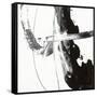 Black and White H-Franka Palek-Framed Stretched Canvas