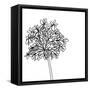 Black and White Happy Flower 2-Jan Weiss-Framed Stretched Canvas