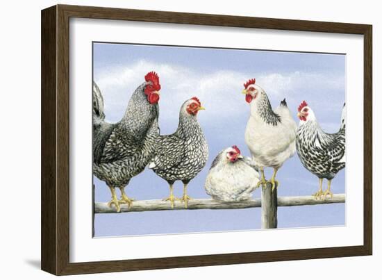 Black and White Hens 1-Janet Pidoux-Framed Giclee Print