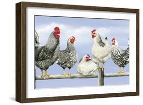 Black and White Hens 1-Janet Pidoux-Framed Giclee Print