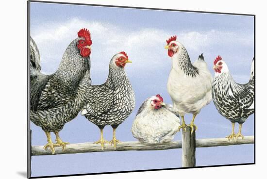 Black and White Hens 1-Janet Pidoux-Mounted Giclee Print