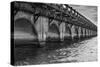 Black and White Horizontal Image of an Old Arch Bridge in Near Ramrod Key, Florida-James White-Stretched Canvas