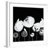 Black and White I-Irena Orlov-Framed Art Print