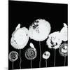 Black and White I-Irena Orlov-Mounted Art Print