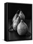 Black and White Image of 4 Pears-Carin Victoria Harris-Framed Stretched Canvas