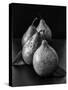 Black and White Image of 4 Pears-Carin Victoria Harris-Stretched Canvas