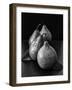 Black and White Image of 4 Pears-Carin Victoria Harris-Framed Photographic Print