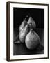 Black and White Image of 4 Pears-Carin Victoria Harris-Framed Photographic Print