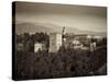 Black and White Image of Alhambra Palce, Granada, Andalucia, Spain-Alan Copson-Stretched Canvas
