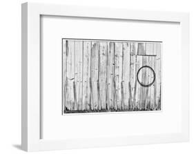 Black and White image of old wooden shed with hanging barbwire, Benge, Washington State-Darrell Gulin-Framed Photographic Print