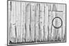 Black and White image of old wooden shed with hanging barbwire, Benge, Washington State-Darrell Gulin-Mounted Photographic Print