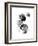 Black and White Jellyfish-Jessica Durrant-Framed Art Print