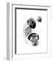 Black and White Jellyfish-Jessica Durrant-Framed Art Print