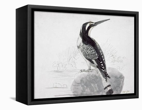 Black and White Kingfisher-Thomas Bewick-Framed Stretched Canvas