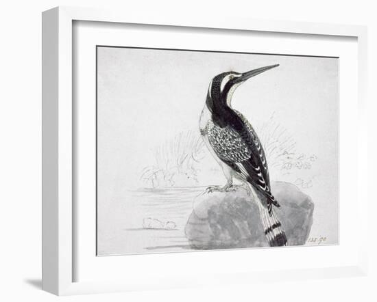 Black and White Kingfisher-Thomas Bewick-Framed Giclee Print