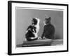 Black and White Kitten and a Grey and White Kitten Sit Atop Some Books-null-Framed Photographic Print