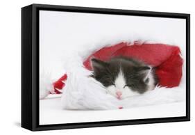 Black-And-White Kitten Asleep in a Father Christmas Hat-Mark Taylor-Framed Stretched Canvas