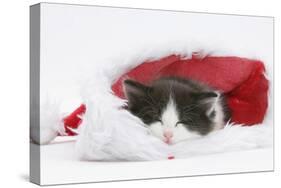 Black-And-White Kitten Asleep in a Father Christmas Hat-Mark Taylor-Stretched Canvas