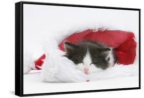 Black-And-White Kitten Asleep in a Father Christmas Hat-Mark Taylor-Framed Stretched Canvas