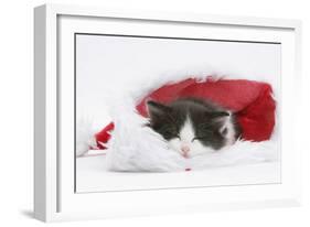 Black-And-White Kitten Asleep in a Father Christmas Hat-Mark Taylor-Framed Photographic Print