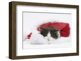Black-And-White Kitten Asleep in a Father Christmas Hat-Mark Taylor-Framed Photographic Print