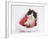Black-And-White Kitten in a Father Christmas Hat-Mark Taylor-Framed Photographic Print