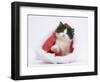 Black-And-White Kitten in a Father Christmas Hat-Mark Taylor-Framed Photographic Print