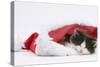 Black-And-White Kitten Sleeping in a Father Christmas Hat-Mark Taylor-Stretched Canvas
