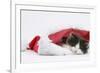 Black-And-White Kitten Sleeping in a Father Christmas Hat-Mark Taylor-Framed Photographic Print