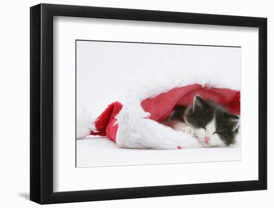 Black-And-White Kitten Sleeping in a Father Christmas Hat-Mark Taylor-Framed Photographic Print