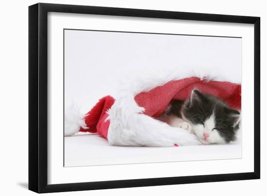 Black-And-White Kitten Sleeping in a Father Christmas Hat-Mark Taylor-Framed Photographic Print