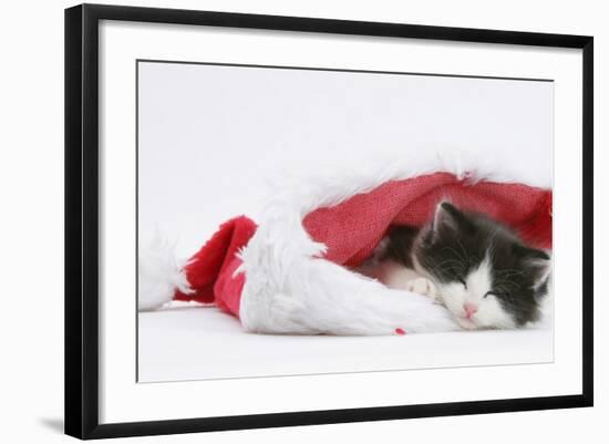 Black-And-White Kitten Sleeping in a Father Christmas Hat-Mark Taylor-Framed Photographic Print