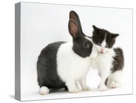 Black-And-White Kitten with Blue Dutch Rabbit-Jane Burton-Stretched Canvas
