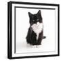 Black and White Kitten-null-Framed Photographic Print