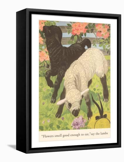 Black and White Lamb-null-Framed Stretched Canvas