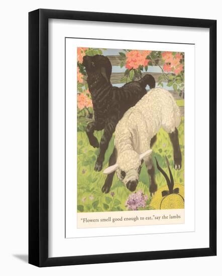 Black and White Lamb-null-Framed Art Print