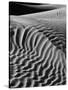 Black and white landscape with view of Mesquite Flat Dunes, Death Valley National Park, Mojave D...-Panoramic Images-Stretched Canvas