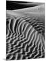 Black and white landscape with view of Mesquite Flat Dunes, Death Valley National Park, Mojave D...-Panoramic Images-Mounted Photographic Print