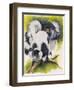 Black and White Lemur-Barbara Keith-Framed Premium Giclee Print